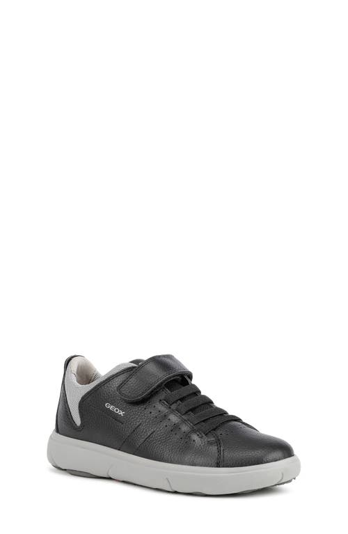 Geox Kids' Nebcup Sneaker In Black/grey