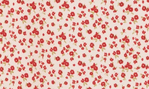 Lush Floral Print Puff Sleeve Midi Dress In Cream Red