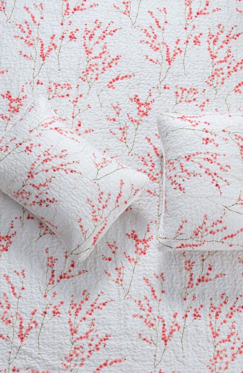 Woven & Weft Coastal 3-piece Quilt Set In Cherry Blossoms
