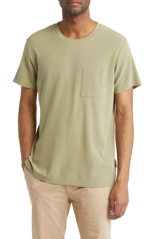 Men's Clive 3323 Slim Fit T-Shirt in Pale Green