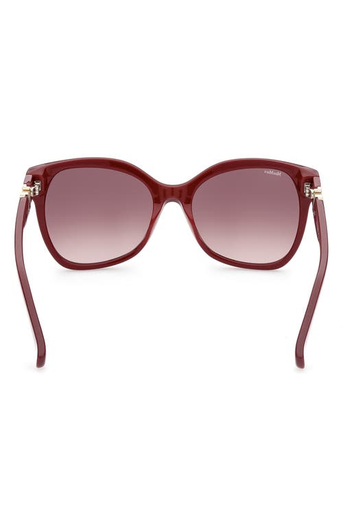 Shop Max Mara 56mm Gradient Butterfly Sunglasses In Shiny Red/gradient Brown