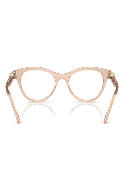 Swarovski 52mm Round Optical Glasses In Beige