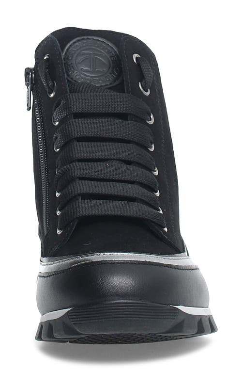 Candice Cooper Janis Strip High Top Sneaker In Black