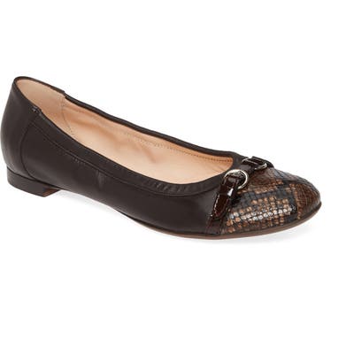 Agl Cap Toe Ballet Flat, Brown