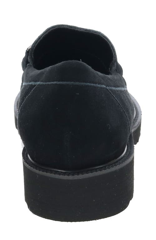 David Tate Magical Loafer In Black Suede