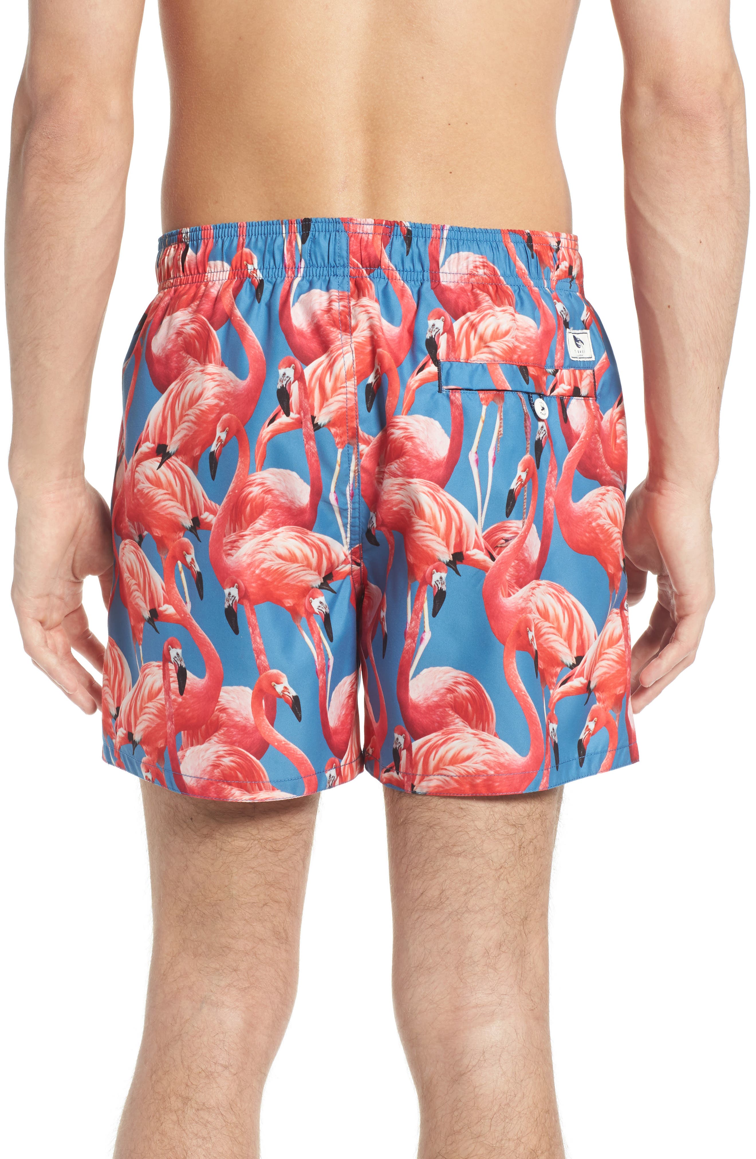 ted baker flamingo swim shorts