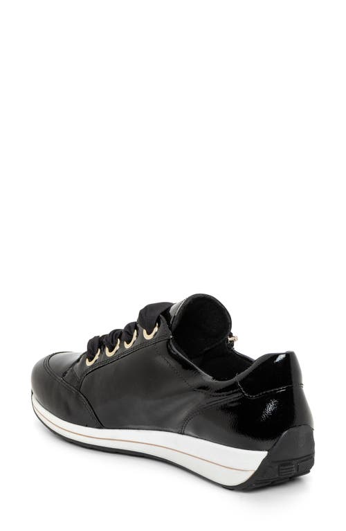 Ara Ollie Sneaker In Black/gold