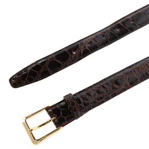 Shop Trafalgar Classic 30mm Genuine Glazed Alligator Belt In Dark Brown