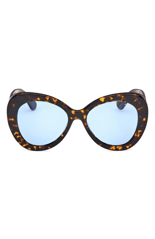 Emilio Pucci 56mm Round Sunglasses in Dark Havana /Bright Blue 