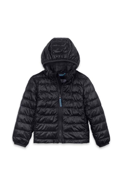 Shop Primary Kids Lightweight Puffer Jacket In Black