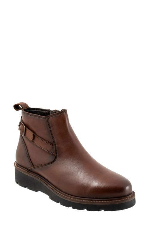 SoftWalk Waneta Bootie Dark Brown at Nordstrom,