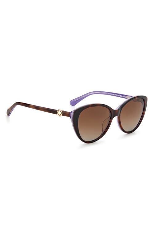 Shop Kate Spade New York Visalia 55mm Gradient Cat Eye Sunglasses In Dark Havana/brown Gradient