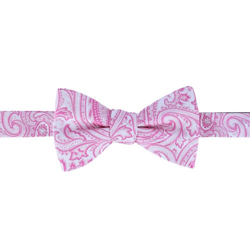 Trafalgar Sobee Paisley Silk Bow Tie & Pocket Square Set In Pink