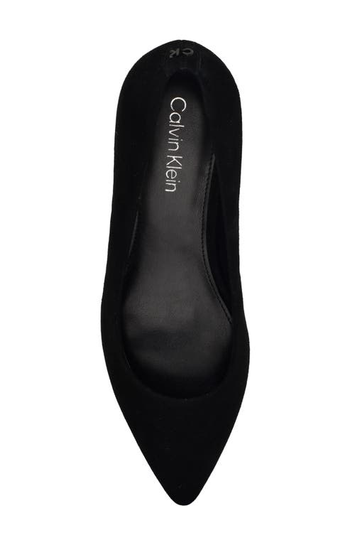 Shop Calvin Klein Lenott Pointed Toe Pump In Black Suede