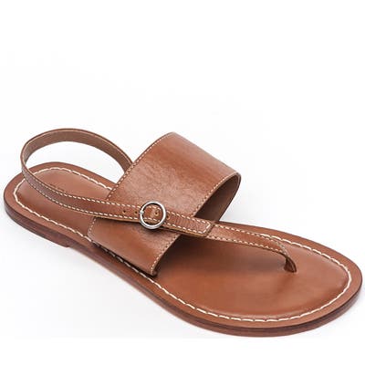 Bernardo Footwear Meg Thong Sandal- Brown