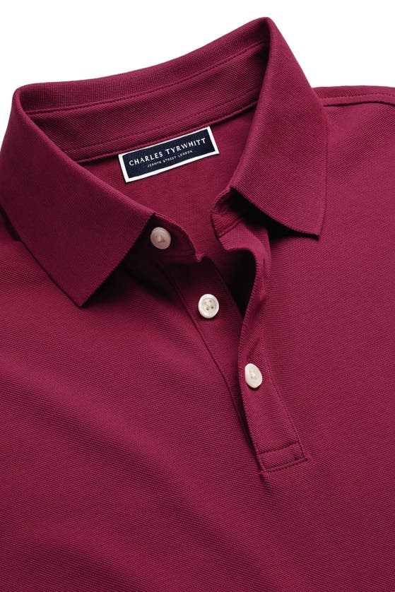 Shop Charles Tyrwhitt Solid Short Sleeve Cotton Tyrwhitt Pique Polo In Bright Pink