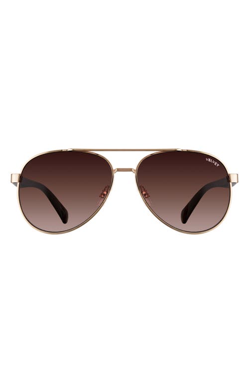 Velvet Eyewear Bonnie 52mm Gradient Aviator Sunglasses in Gold/tort at Nordstrom