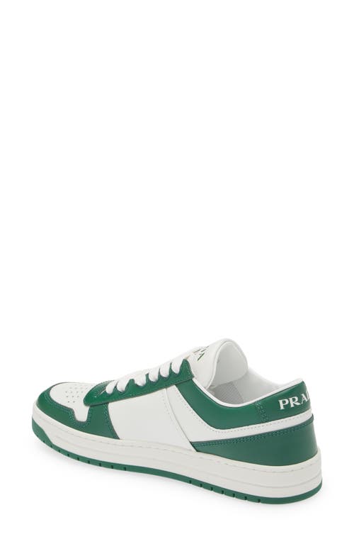 Shop Prada Downtown Logo Low Top Sneaker In White/green