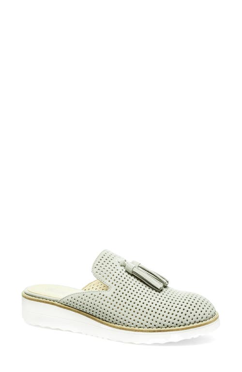 Silent D Ohboy Perforated Mule in Stone Perf Suede