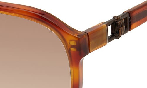 Kurt Geiger London 59mm Aviator Gradient Sunglasses In Havana/brown Gradient