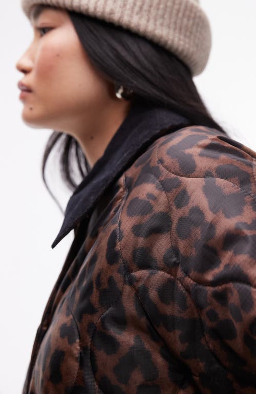 Shop Topshop Leopard Print Quilted Coat In Brown Multi