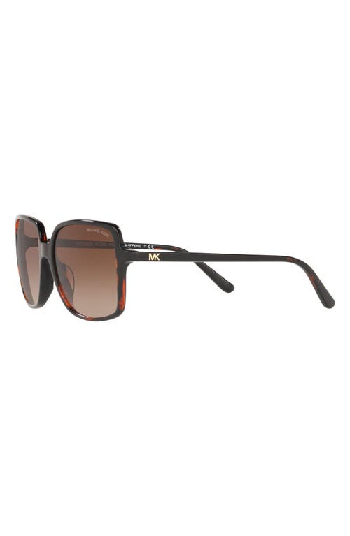 Michael Kors 56mm Gradient Square Sunglasses In New Tortoise/smoke Gradient