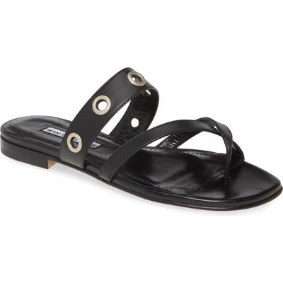 Manolo Blahnik Susoch Thong Sandal, Black