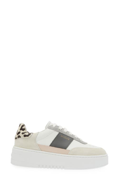 Shop Axel Arigato Orbit Platform Sneaker In White/cremino