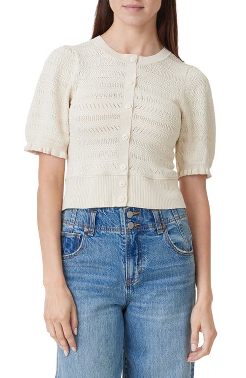 Shop Habitual Pointelle Stitch Cardigan In Birch