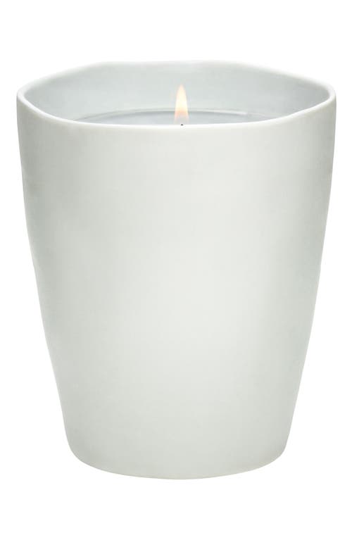 Nest New York White Tea & Rosemary Classic Candle In No Color