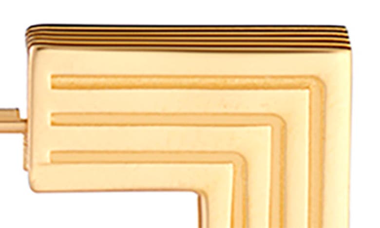 Ivi Los Angeles Large Aurelia Hoop Earrings In Yellow Gold