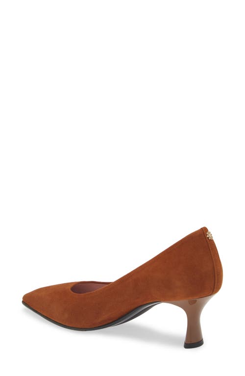 Shop Naot Margot Pointed Toe Pump In Brown Suede