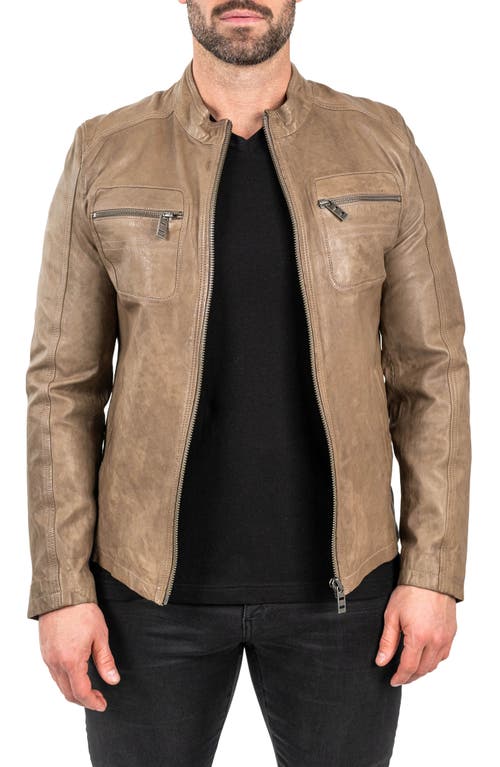 Maceoo Leather Jacket in Brown 