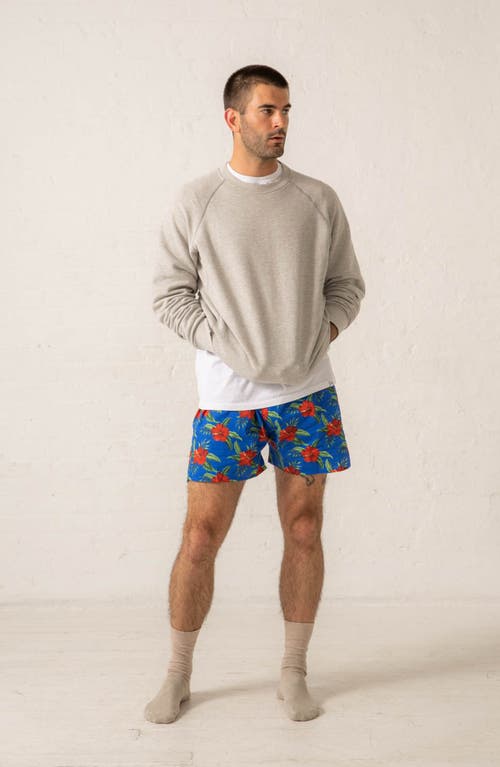 Druthers Nyc Organic Cotton Oahu Hawaiian Print Boxer Short In Royal Blue
