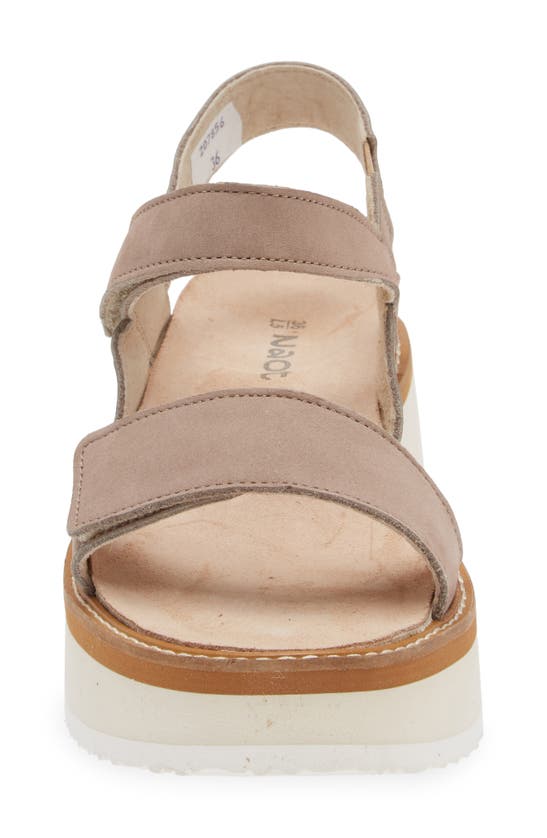 Shop Naot Meringue Wedge Sandal In Stone Nubuck