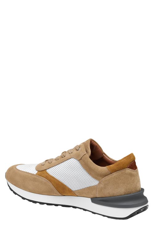 Johnston & Murphy Collection Briggs Perfed Lace-up Sneaker In Taupe/brown/white Italian
