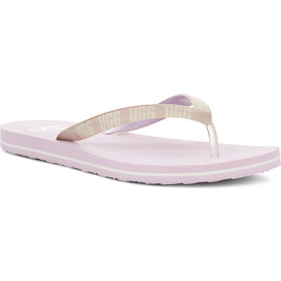 UGG Simi Logo Flip Flop, Purple