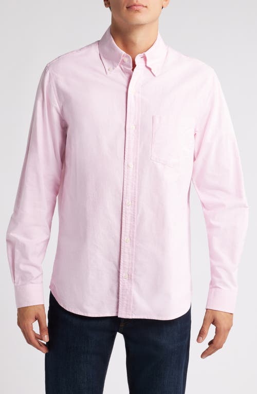 Schott NYC Button-Down Oxford Shirt in Pink 