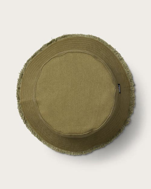 Hemlock Coronado Bucket Hat In Olive
