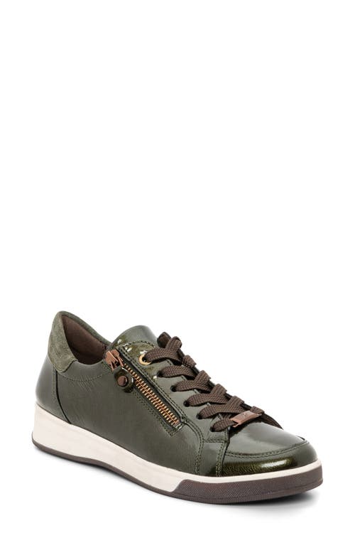 ara Rei Low Sneaker in Forest 