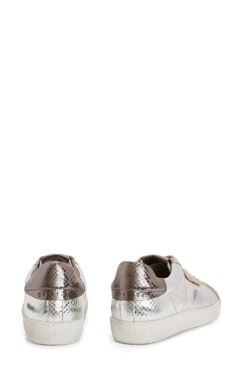 Shop Allsaints Sheer Low Top Sneaker In Silver/gold