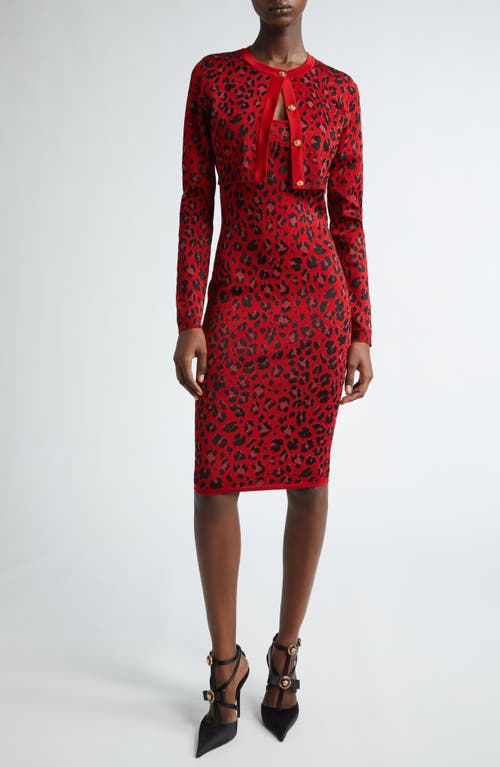 Shop Versace Animalier Leopard Jacquard Body-con Sweater Dress In Lipstick Red