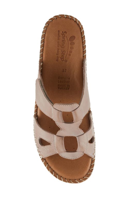 Shop Spring Step Montera Platform Slide Sandal In Taupe