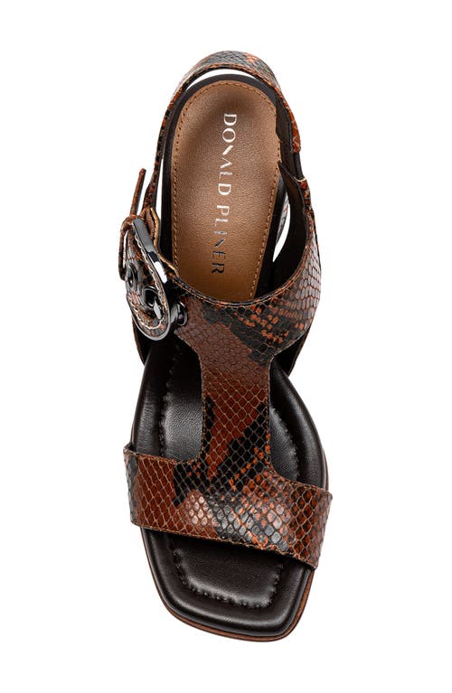 Shop Donald Pliner Erin Slingback T-strap Sandal In Chestnut