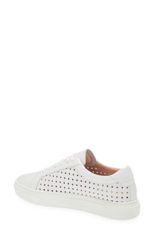 Frankie4 Mim Iv Perforated Sneaker In White Weave