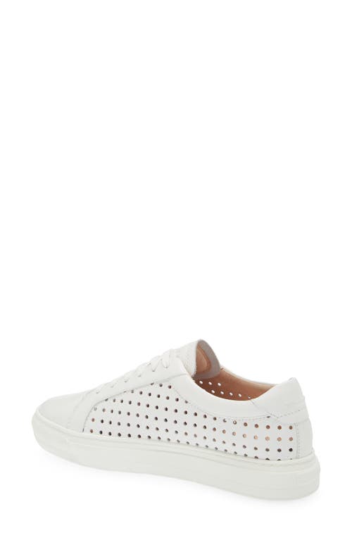 Shop Frankie4 Mim Iv Perforated Sneaker In White Weave