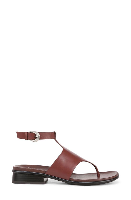 Shop 27 Edit Naturalizer Beck Ankle Strap Sandal In Cappucino Leather