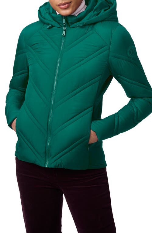 Shop Bernardo Hooded Puffer Jacket With Bib In Emerald Green