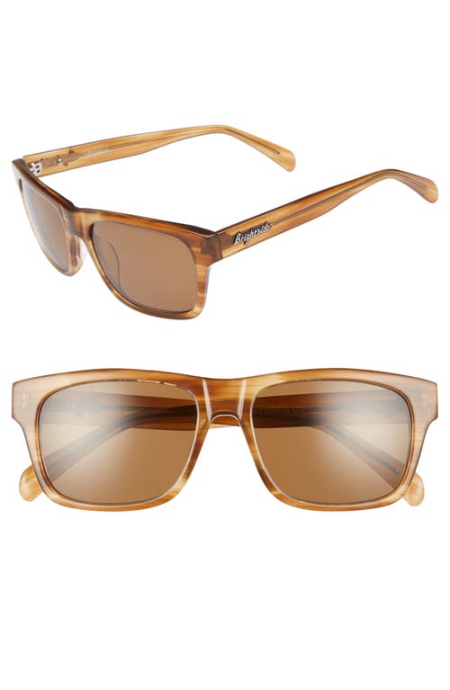 Brightside Wilshire 55mm Square Sunglasses in Cedar/Brown
