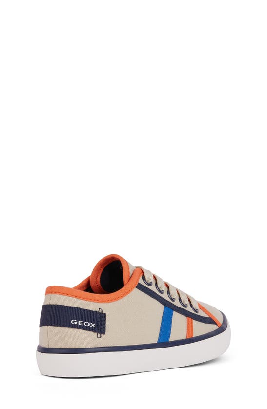Shop Geox Kids' Gisli Sneaker In Beige/ Orange